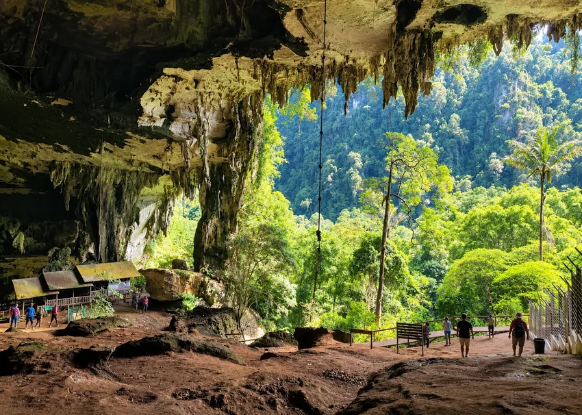 Gua Besar di Taman Negara Niah